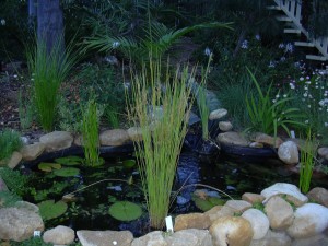 landscaping brisbane