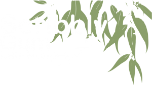 Scribbly Gum Landscapes